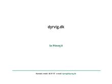 Dyrvig Design & Reklame ApS